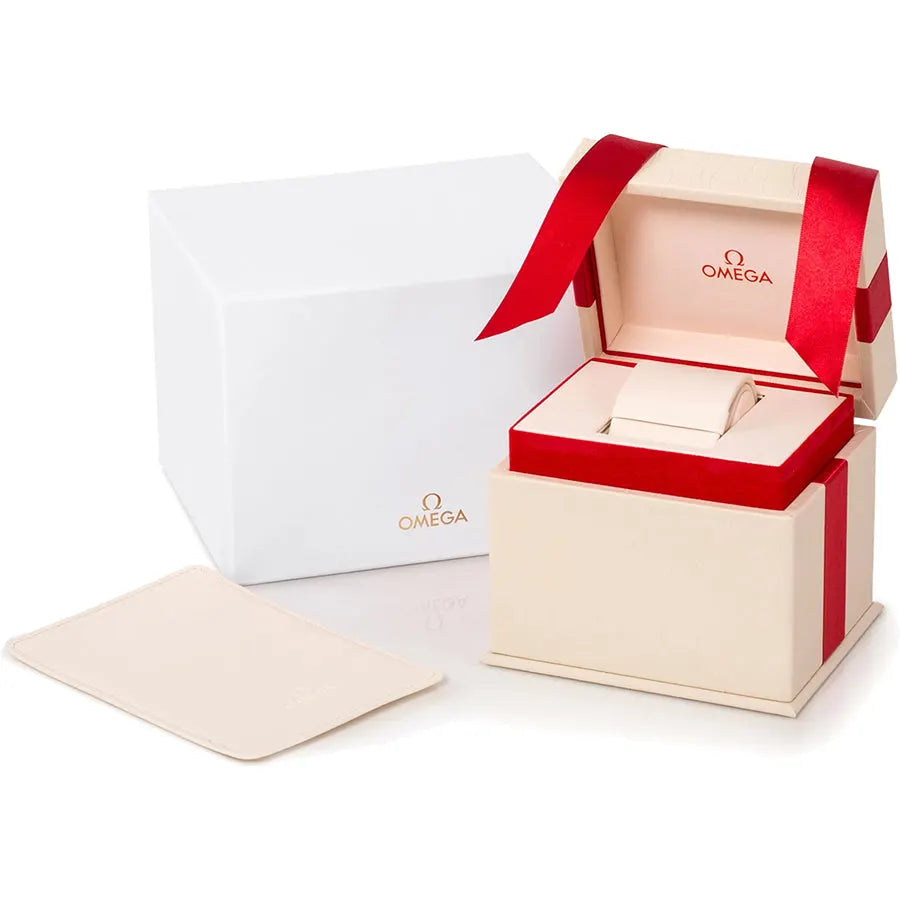 Omega Grey Dial Steel Ladies Watch - Hình 3